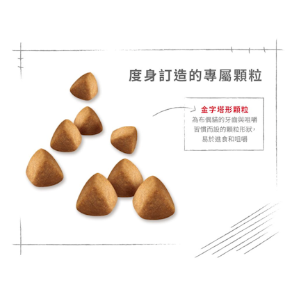 Royal-Canin_布偶成貓專屬配方_正方形_HK_04