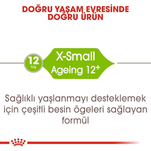 X-small Ageing 12+