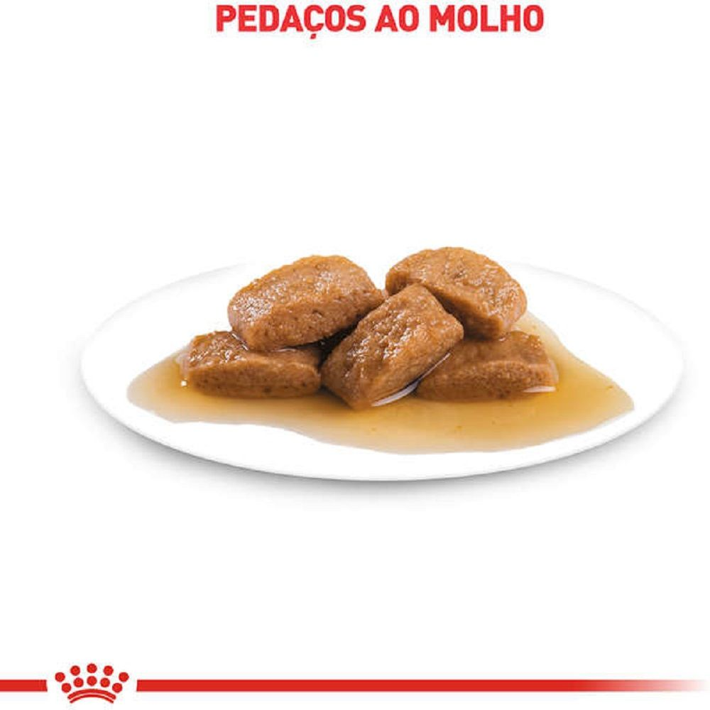 Renal Feline Pedaços ao Molho Alimento Úmido