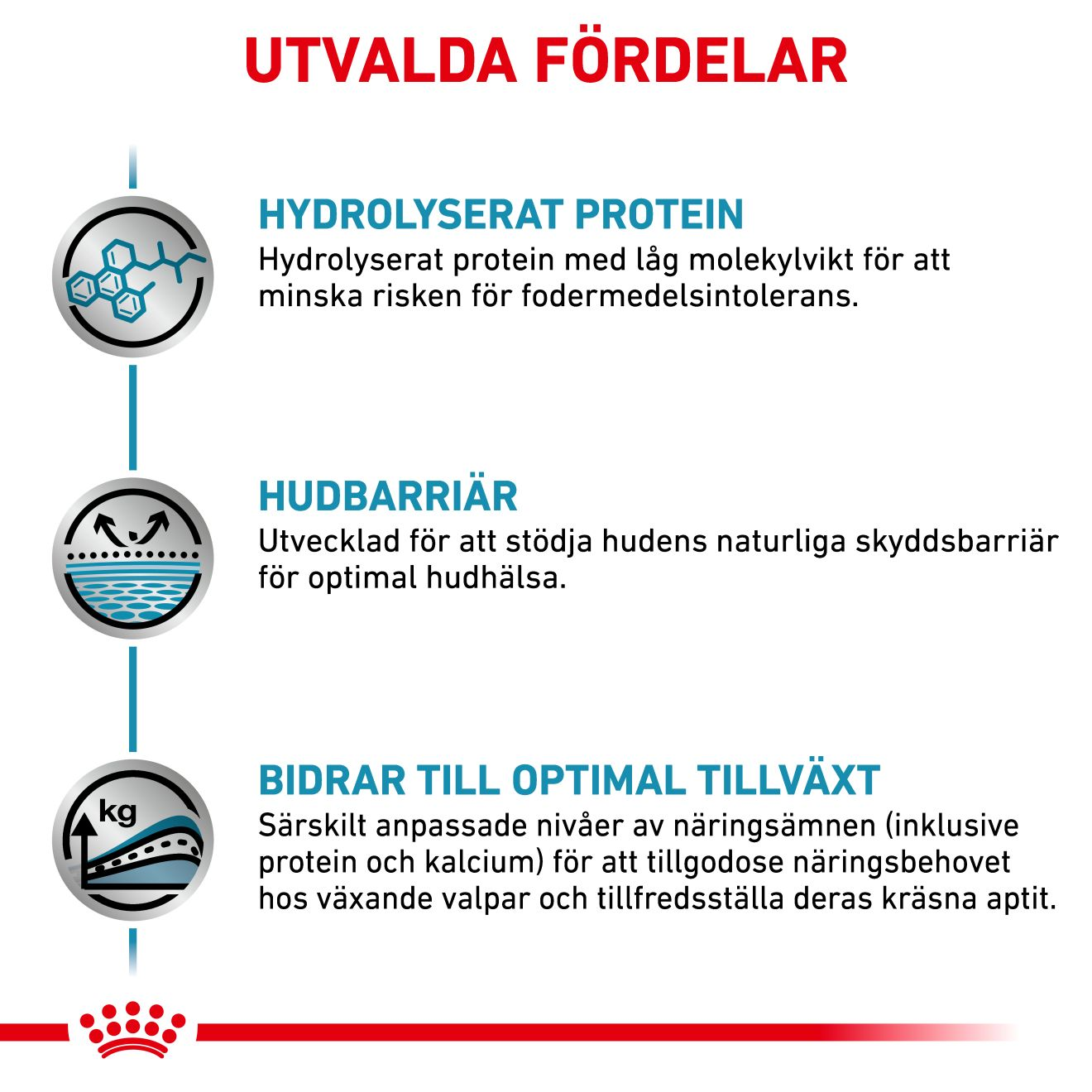Derma Hypoallergenic Puppy