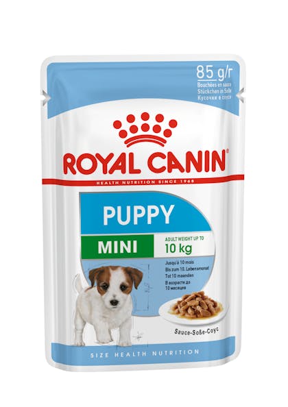 Mini Puppy wet Royal Canin