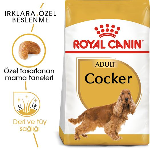 Cocker Adult Yetişkin Köpek Kuru Maması