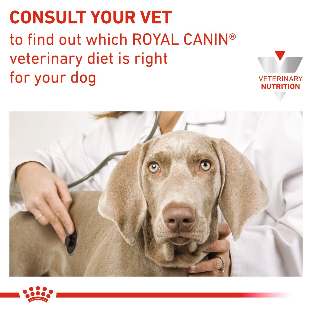 Royal Canin Urinary S/O Dog kuivtoit