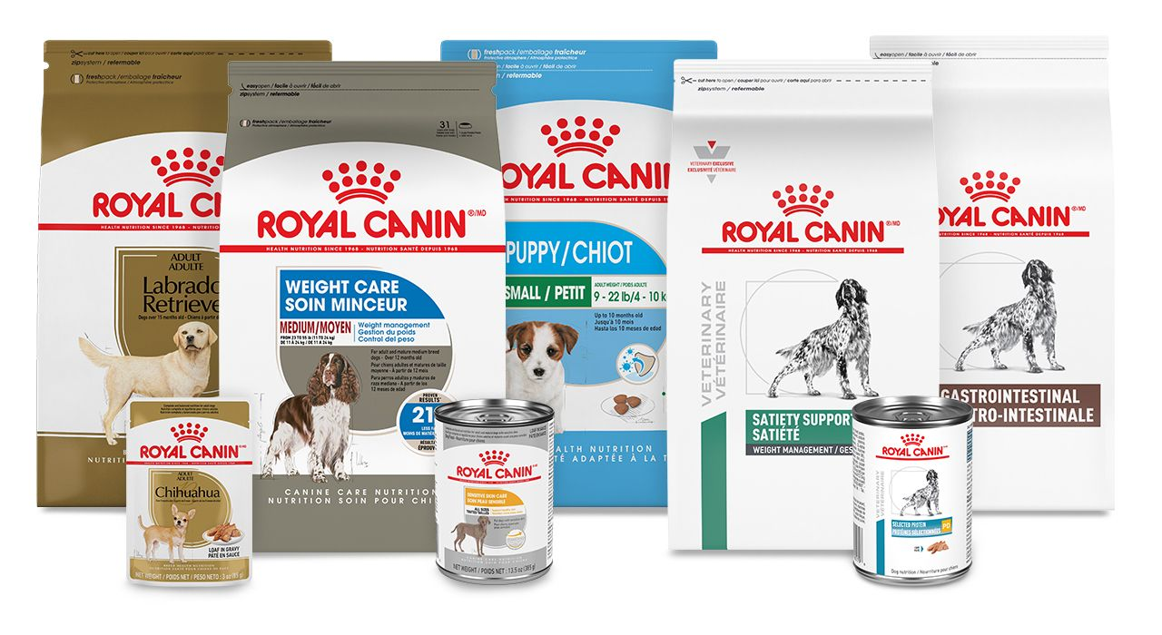 Vet and spt cat packshot montage dog colour