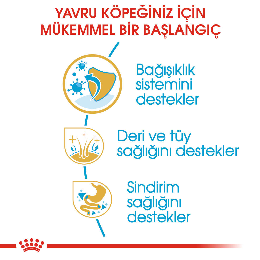 Cocker Puppy Yavru Köpek Kuru Maması