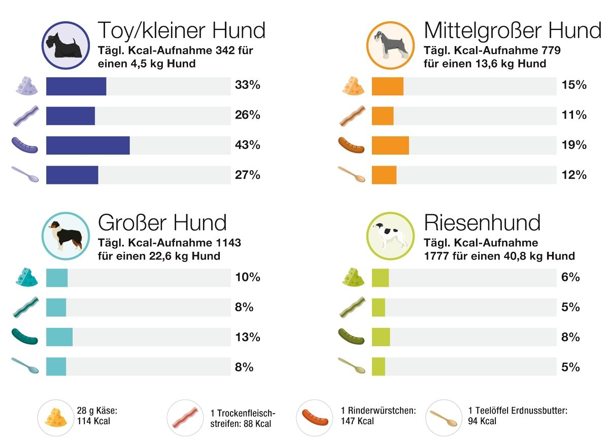 Häufig bekommen Hunde menschliche Nahrung als Snacks. Tierhaltern ist oft nicht bewusst, dass auch vermeintlich geringe Mengen menschlicher Nahrung einen großen Teil des täglichen Kalorienbedarfs eines Hundes decken können. Allgemein gilt, dass Nahrung in Form von Snacks und menschlicher Nahrung 10 % des Tageskalorienbedarfes eines Hundes nicht überschreiten sollte, um Nährstoffmängel und Nährstoffungleichgewichte zu vermeiden.