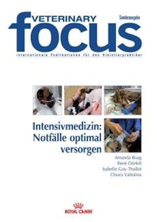 Kleintiermedizin Intensivmedizin: Notfälle optimal versorgen