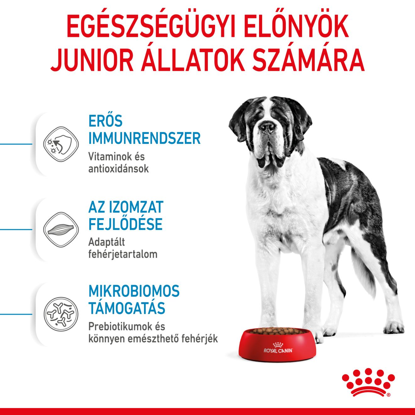 Giant Junior