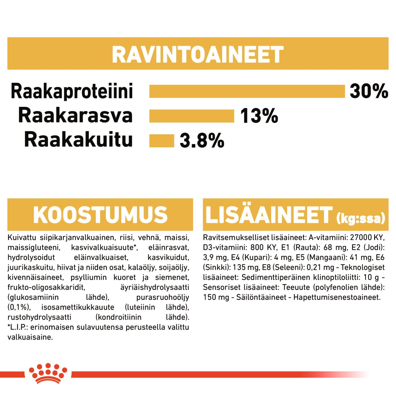 Labrador Retriever Adult