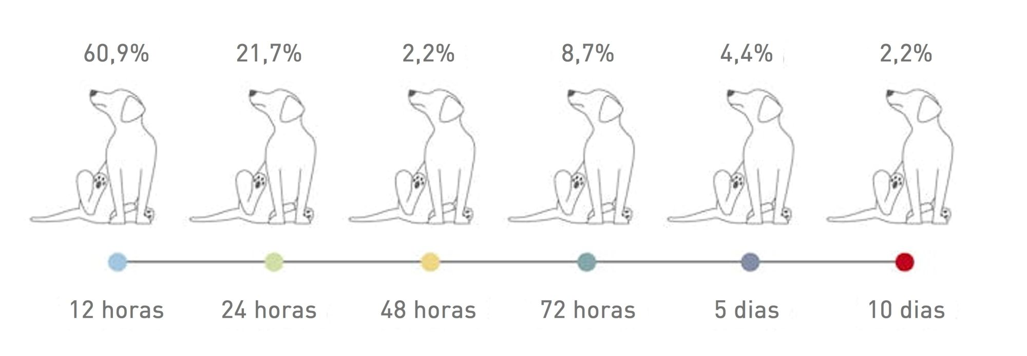 Tempo decorrido até o reaparecimento dos sinais clínicos