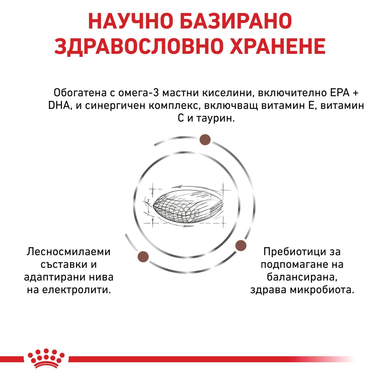 GASTROINTESTINAL LOW FAT SMALL DOG