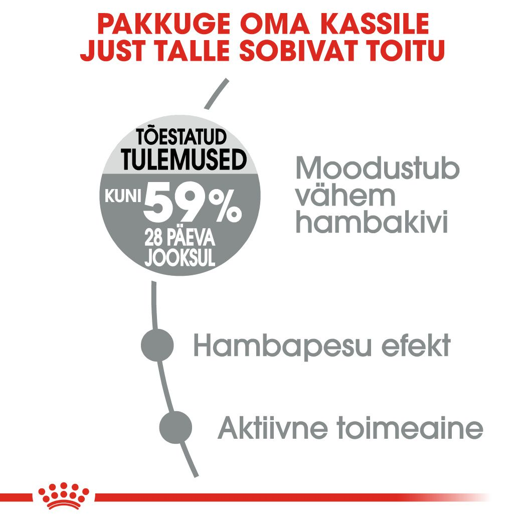 Royal Canin Oral Care kuivtoit