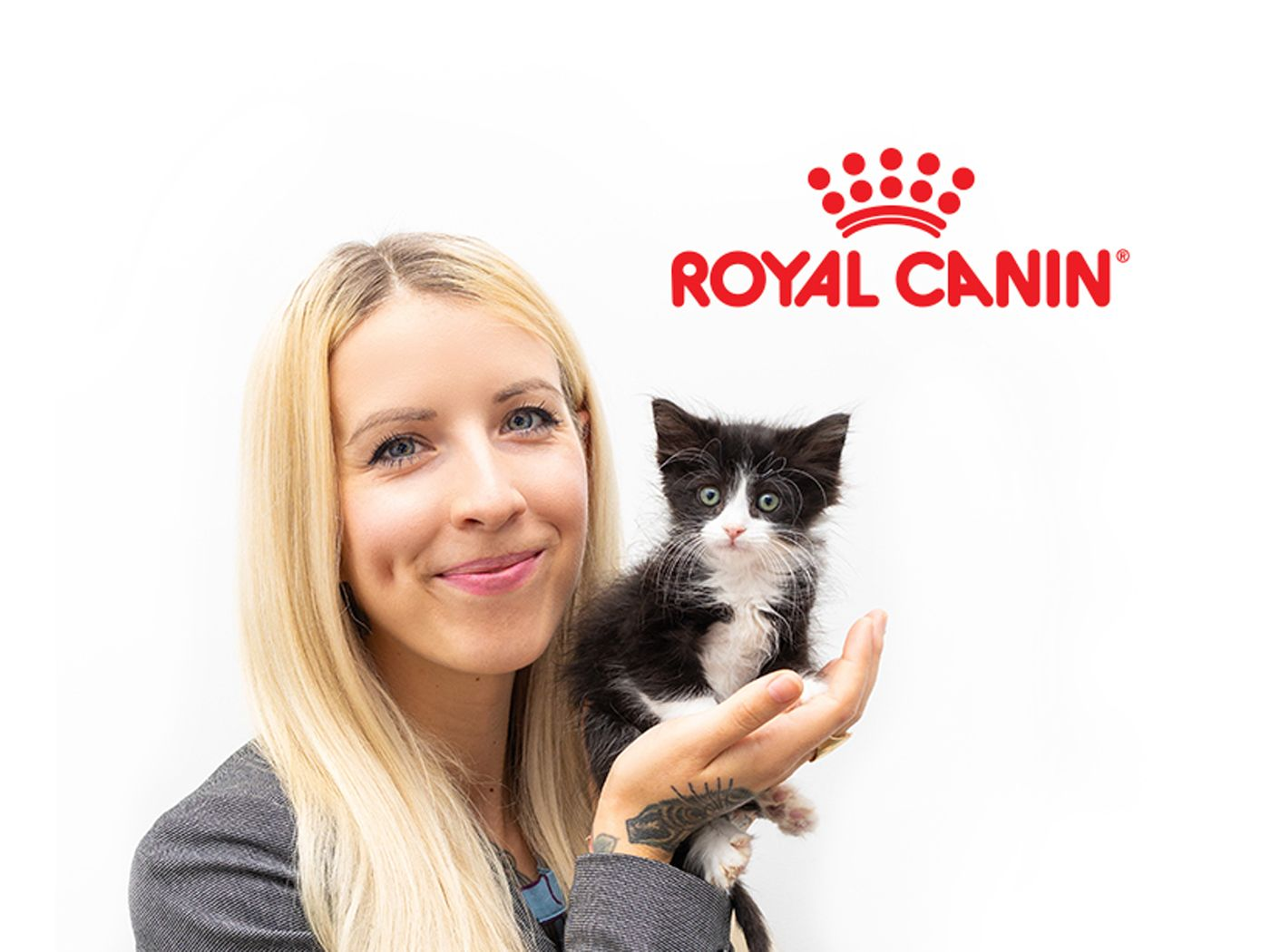 royal canin next day delivery