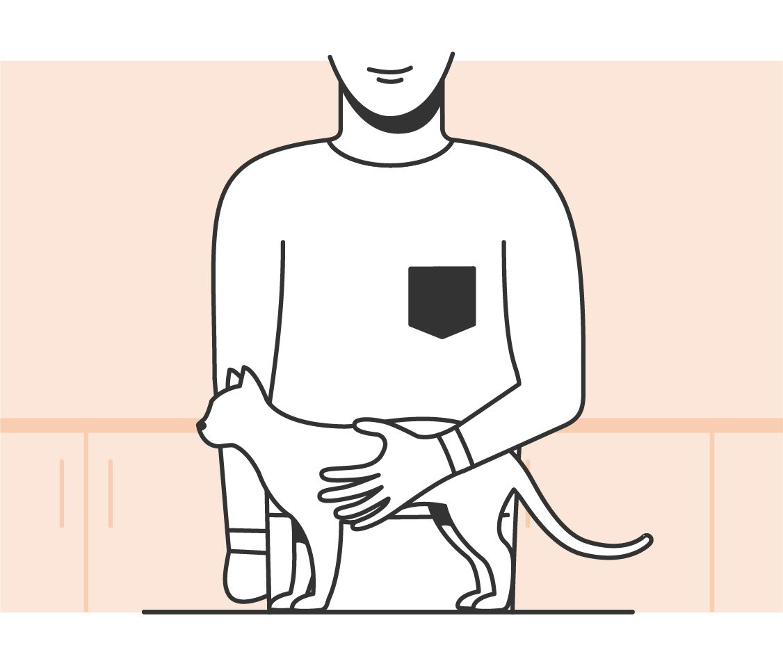 Illustration of pet owner carrying out a cat body condition score