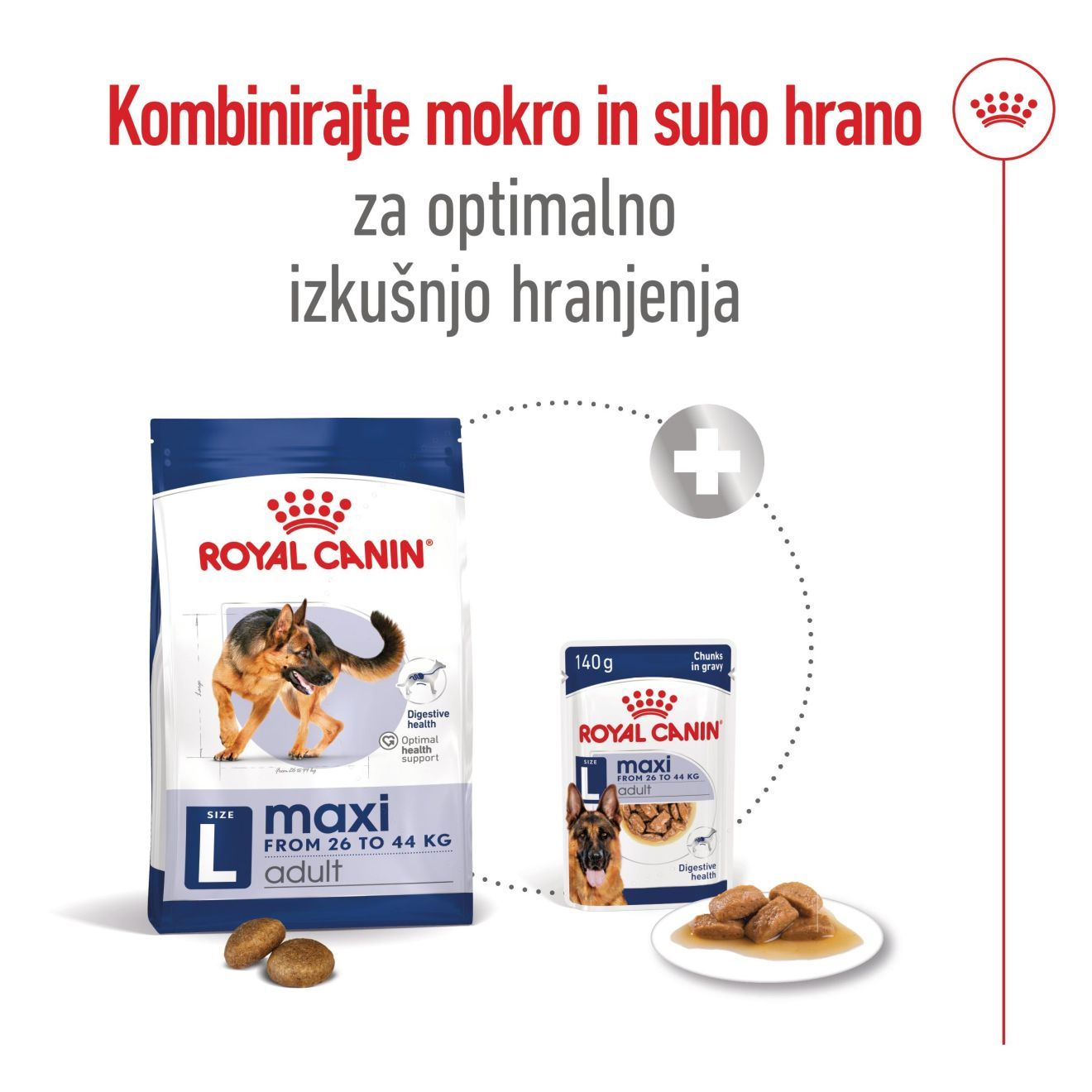 MAXI ADULT