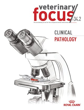 Clinical pathology