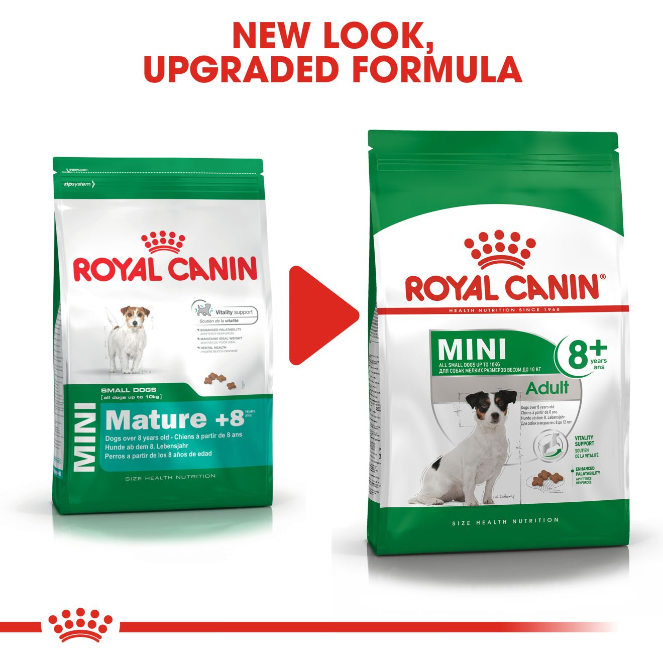 mini adult dog food