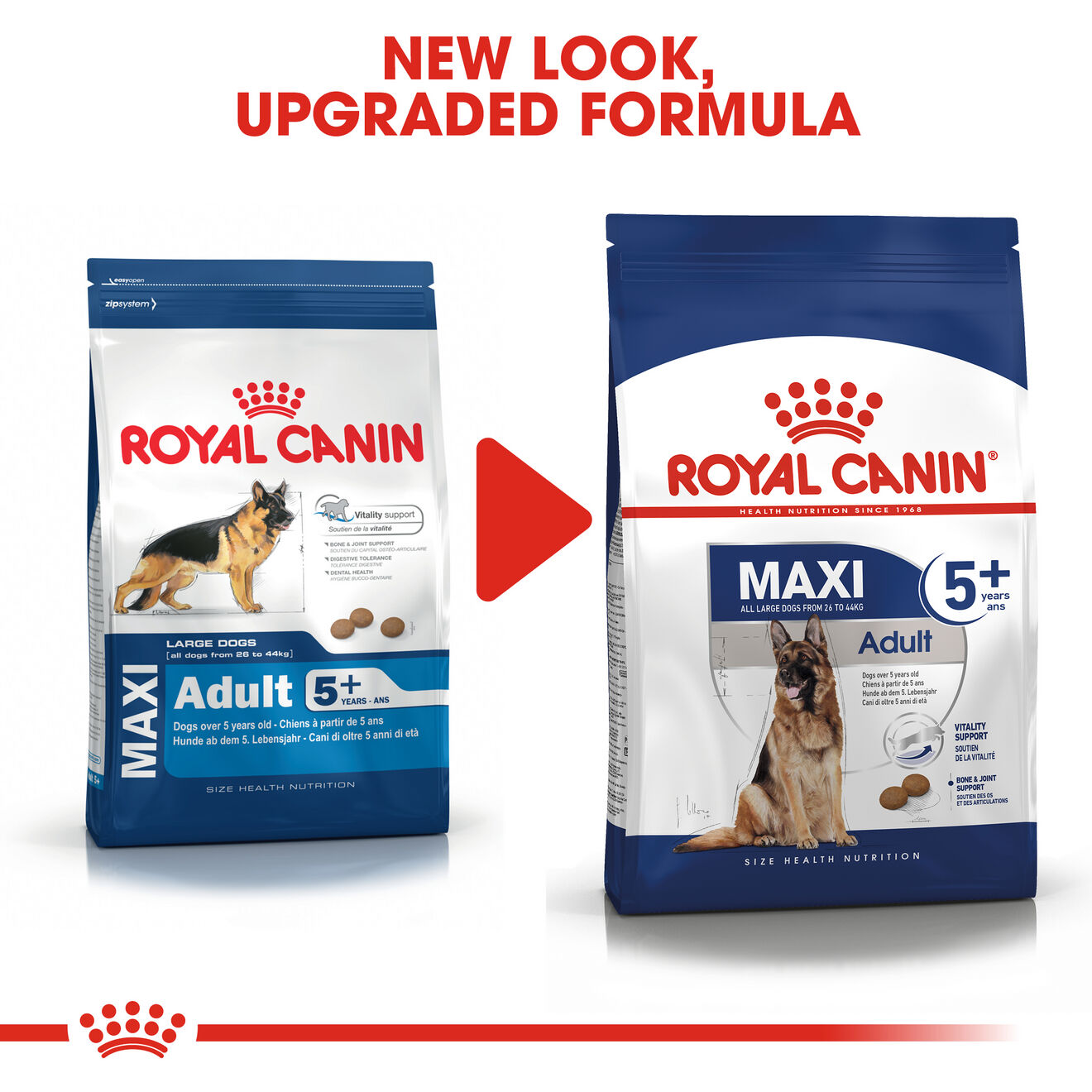 Royal canin maxi puppy clearance active