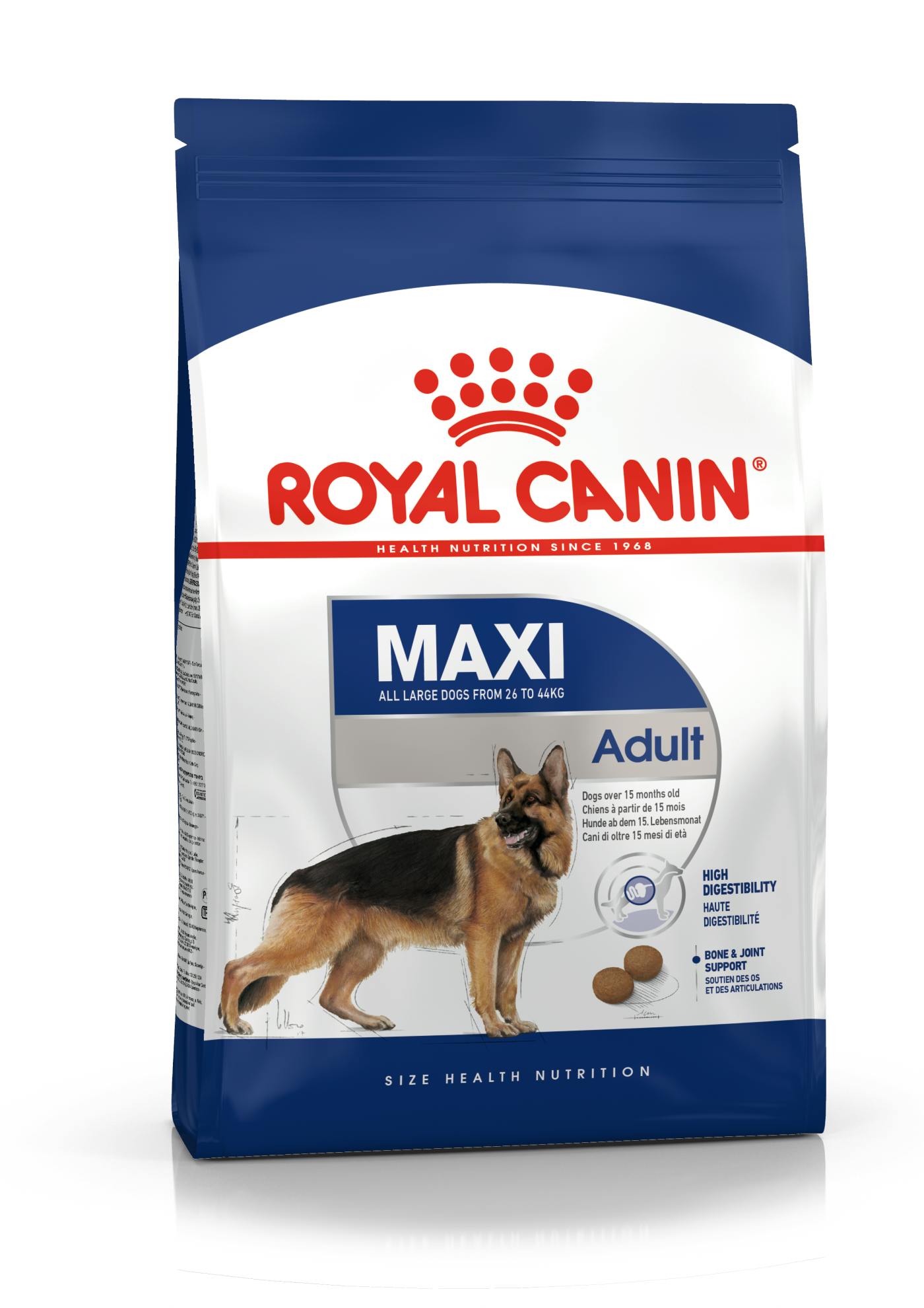 Een trouwe Koken Decoratie Maxi Adult dry | Royal Canin