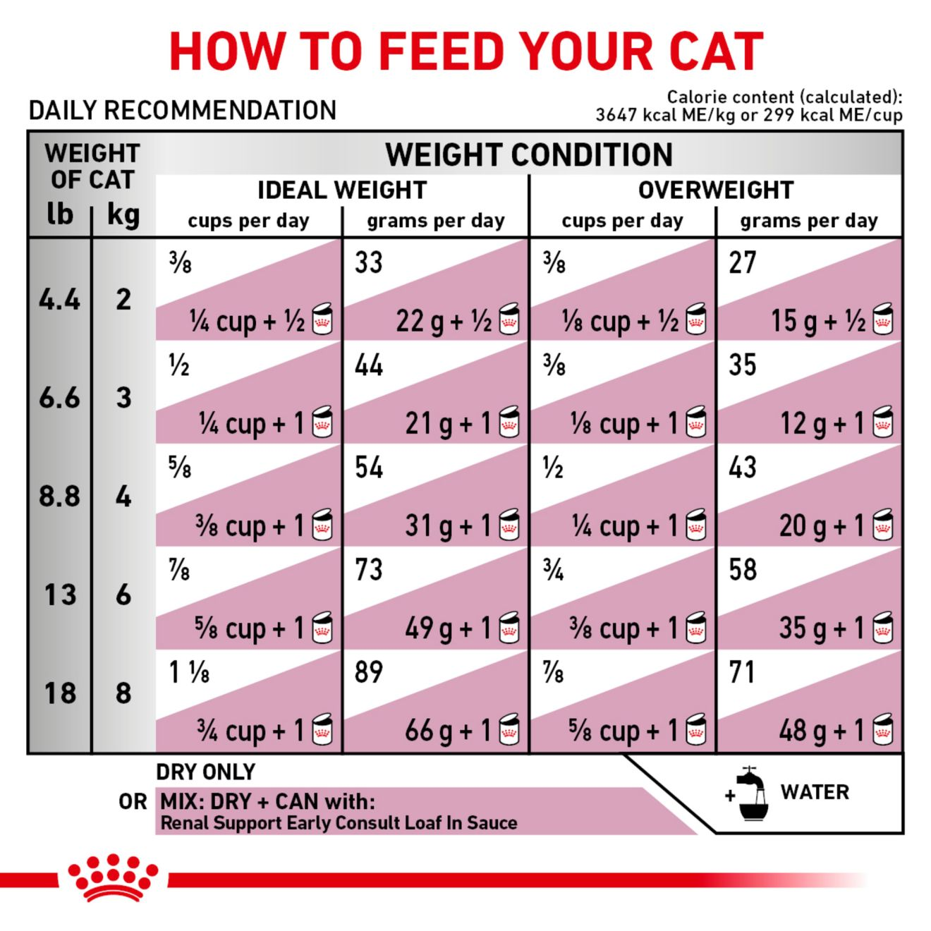Feline Renal Support Early Consult