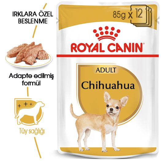 Chihuahua Yetişkin Köpek Yaş Maması