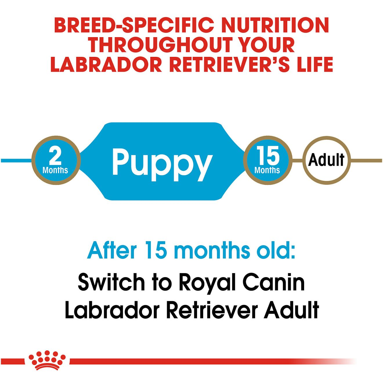 Labrador Retriever Puppy Dry Dog Food Royal Canin US