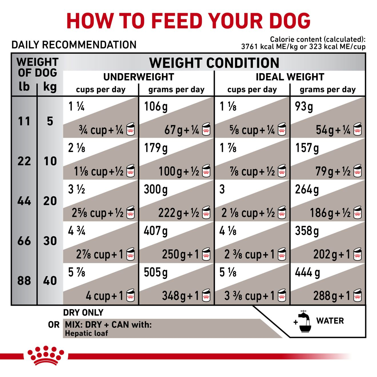 canine-hepatic-royal-canin-us