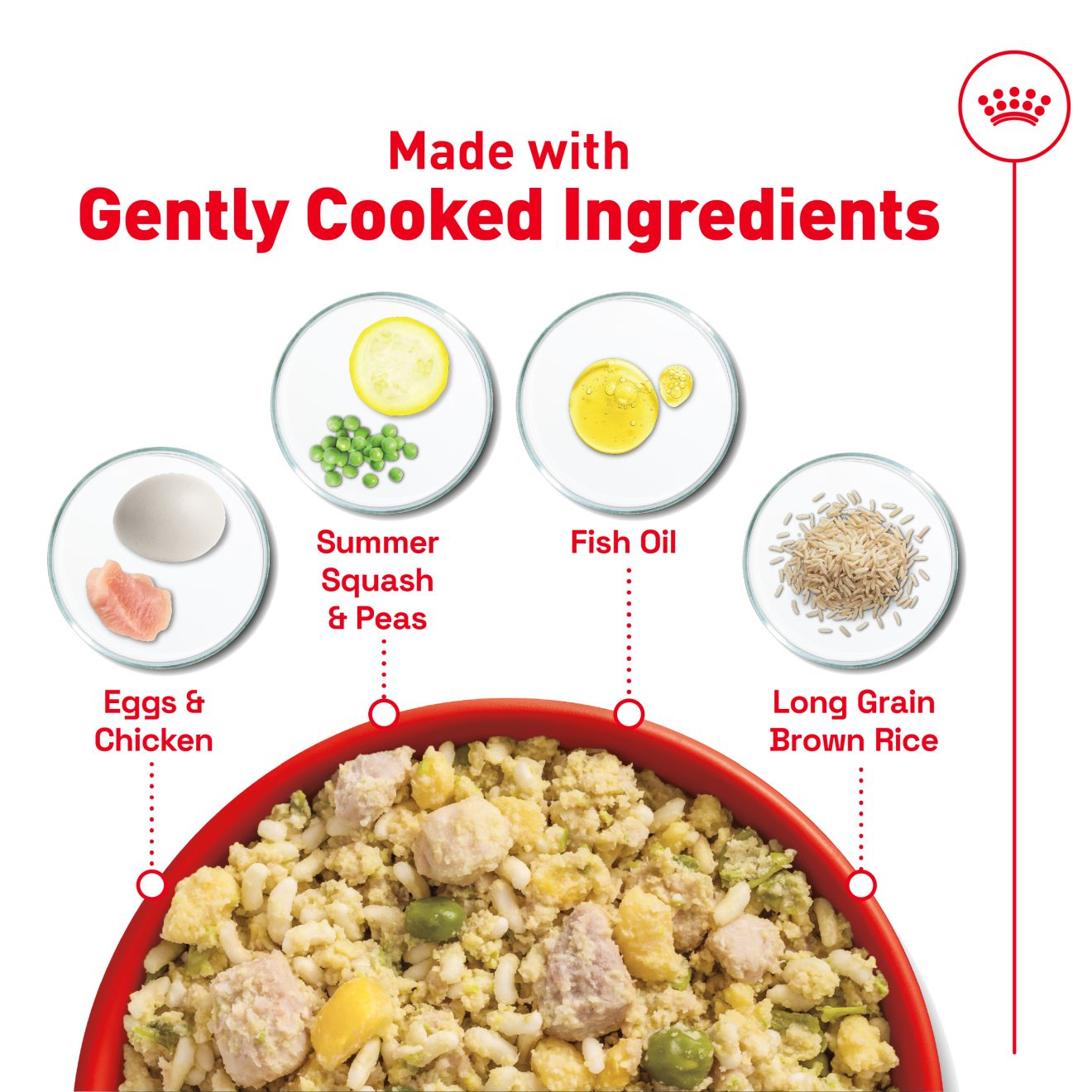 Royal Canin Fresh Health Nutrition Puppy Dog Food