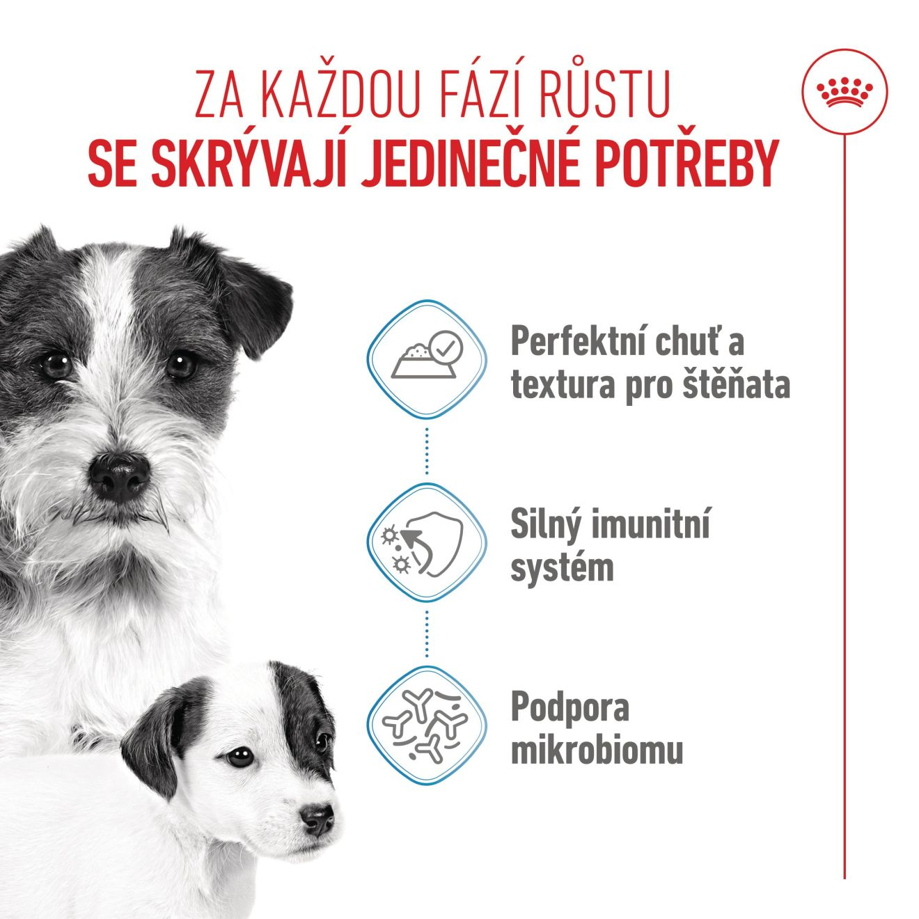 STARTER Mother & Babydog – Ultra soft mousse