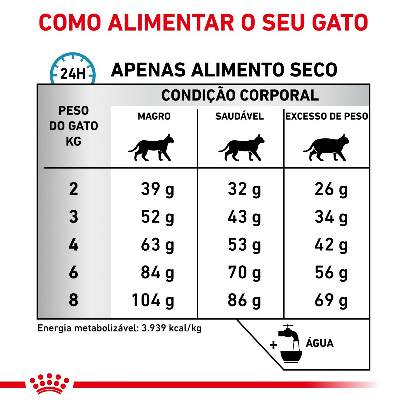 Cat ANALLERGENIC