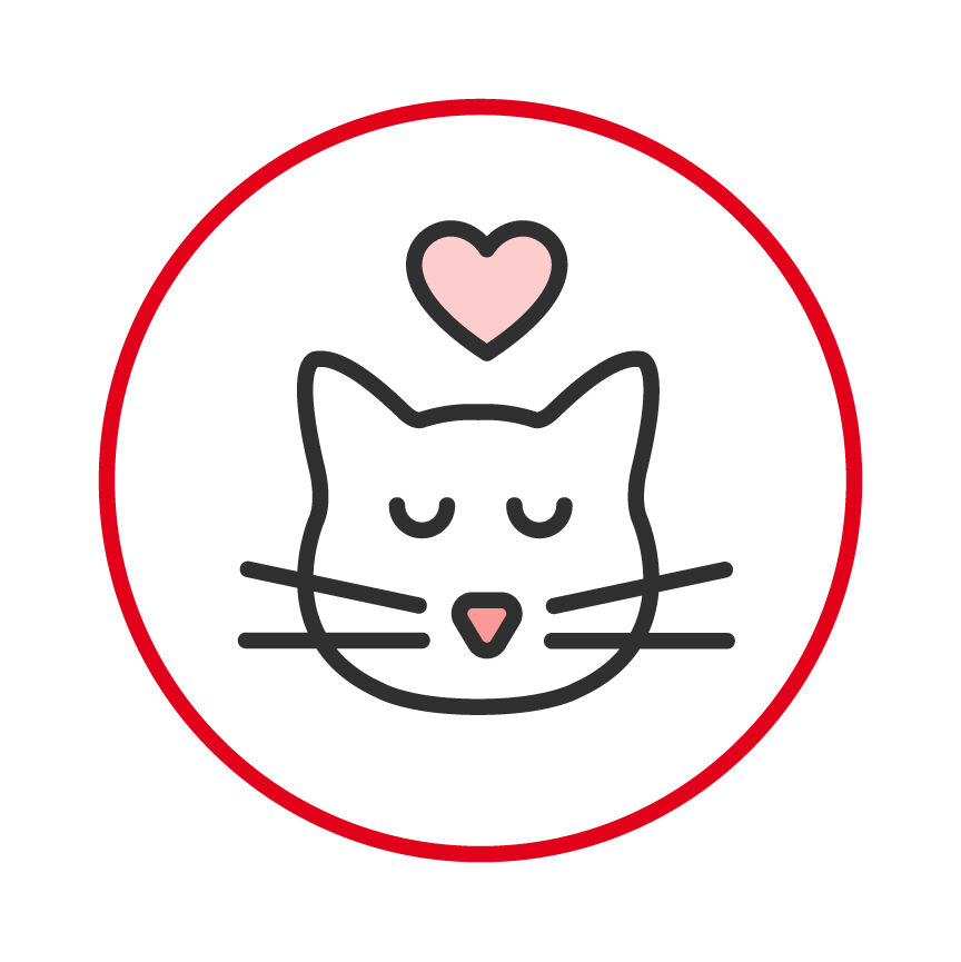 Guide De La Sterilisation Du Chat Royal Canin Royal