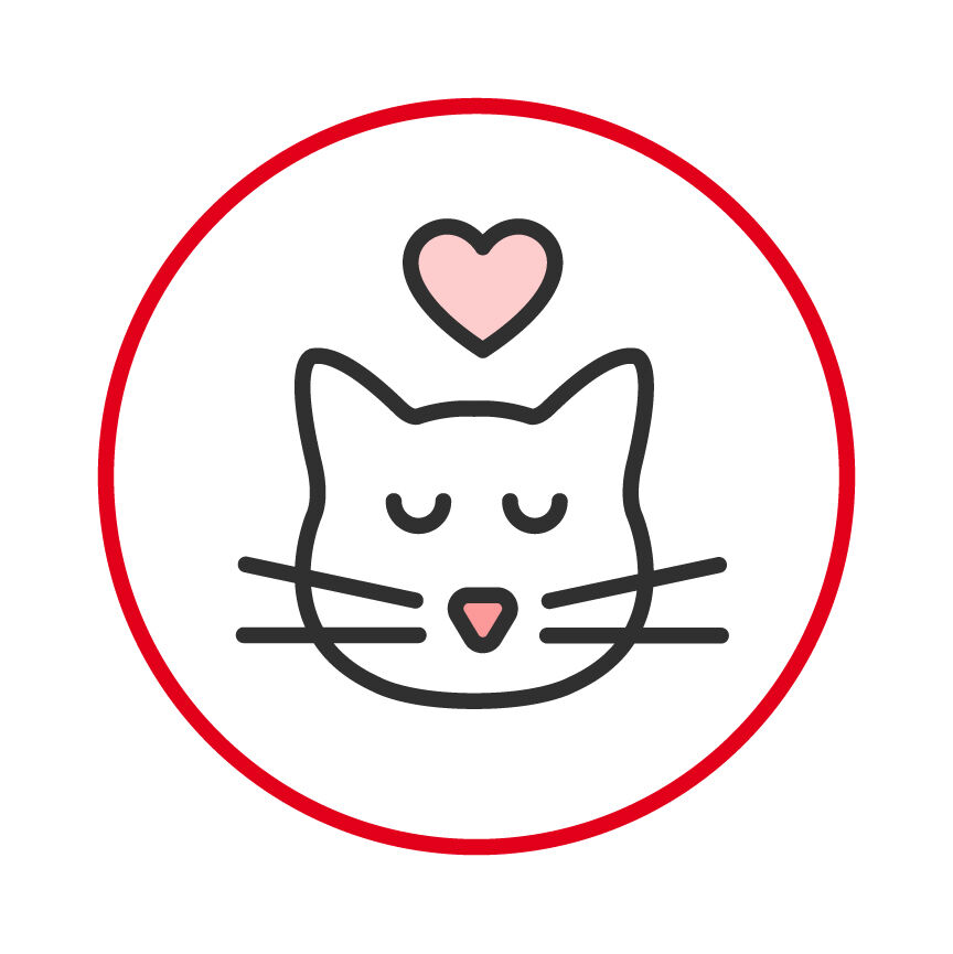 Afbeelding van een kat met een hart boven zijn hoofd