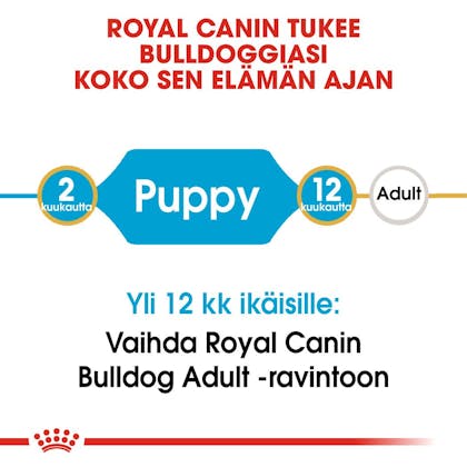 RC-BHN-PuppyBulldog-CM-EretailKit-1-fi_FI