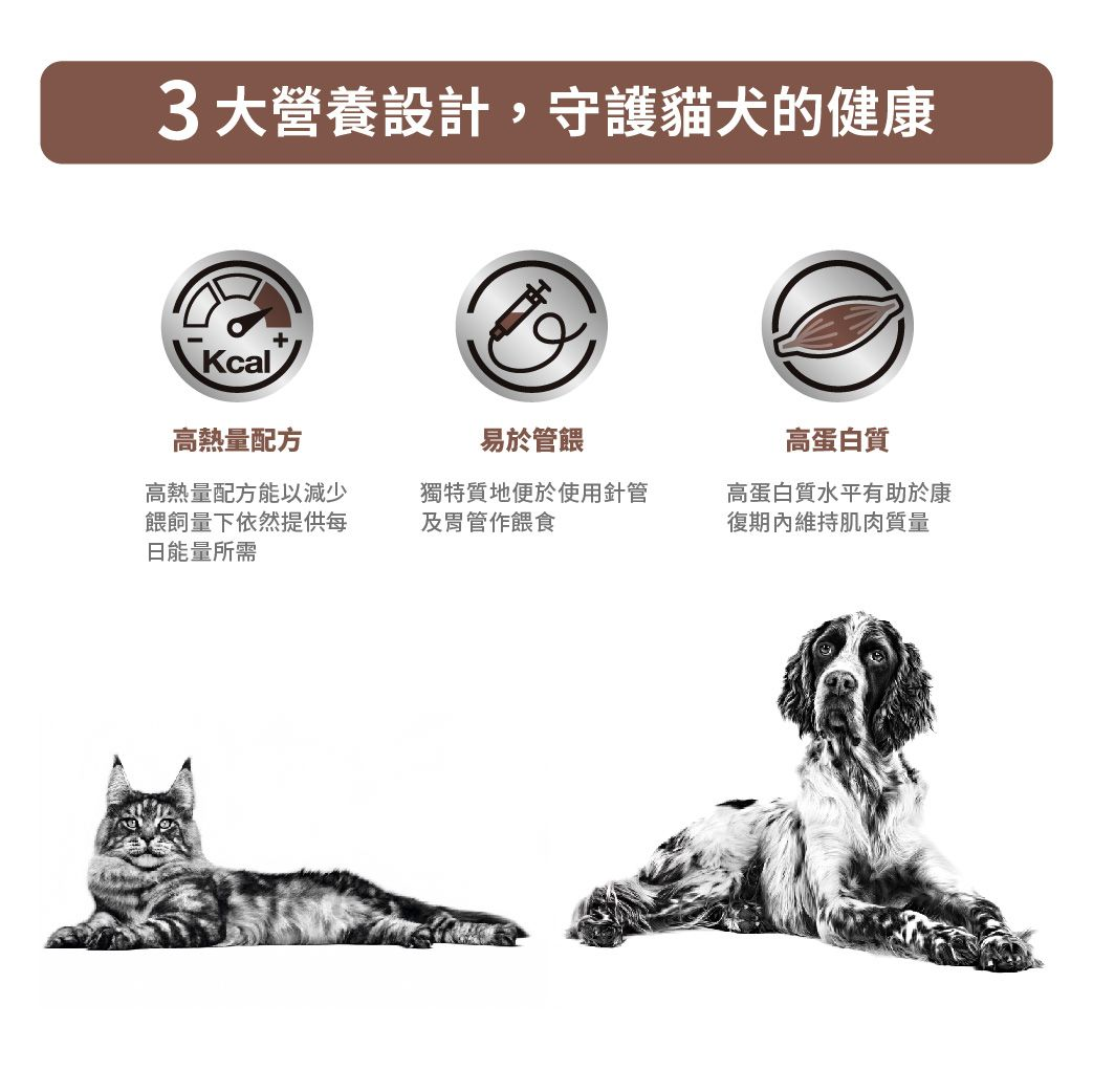 ICU重症營養處方補給罐頭（貓/犬用）