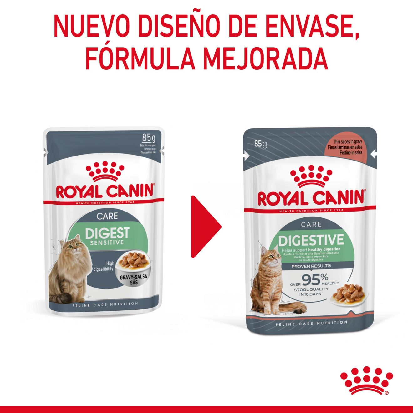 Digestive Care Finas láminas en salsa