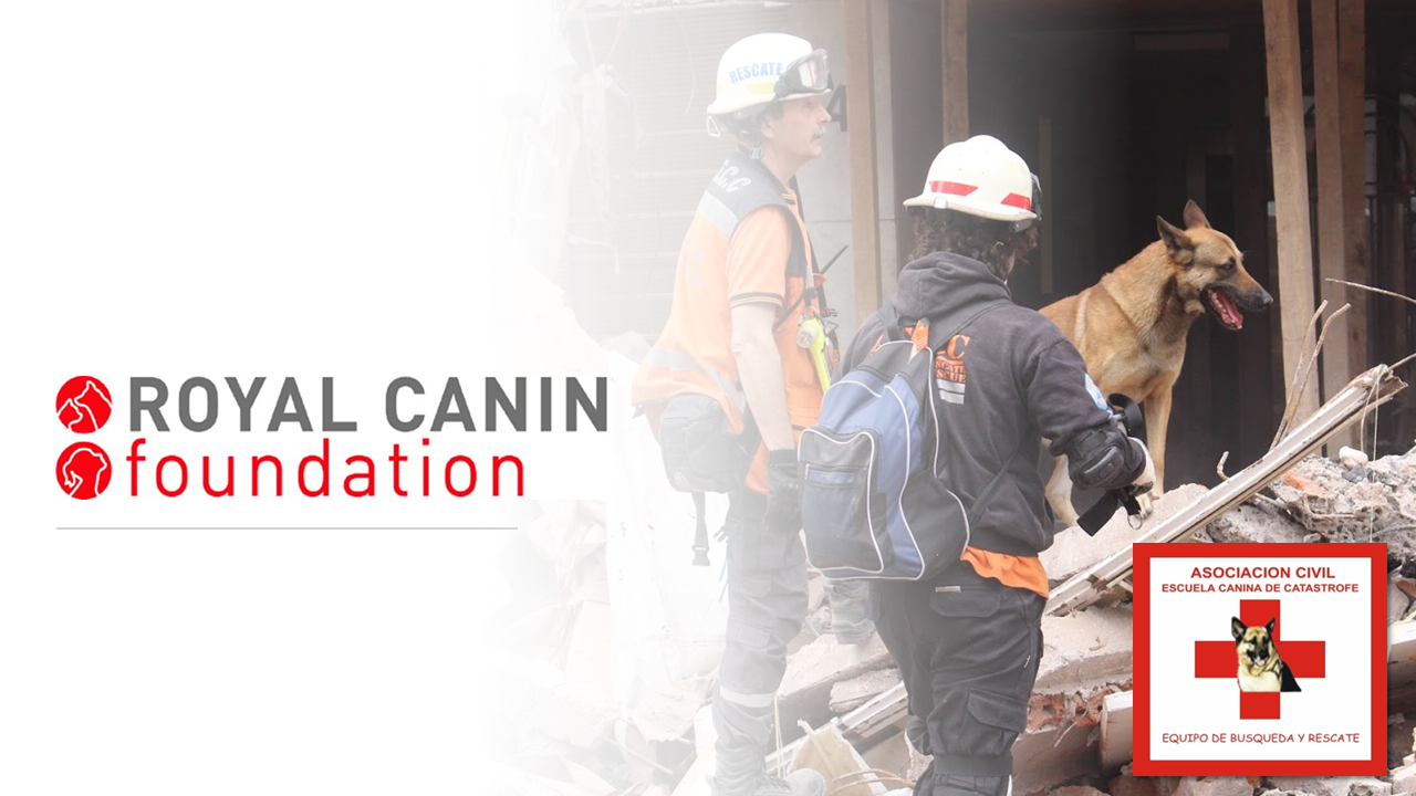 Royal Canin Foundation