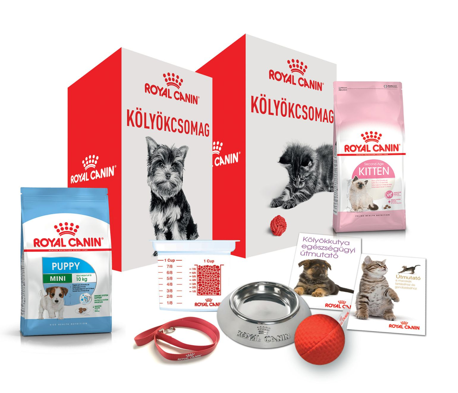 Tenyésztői kölyökprogram