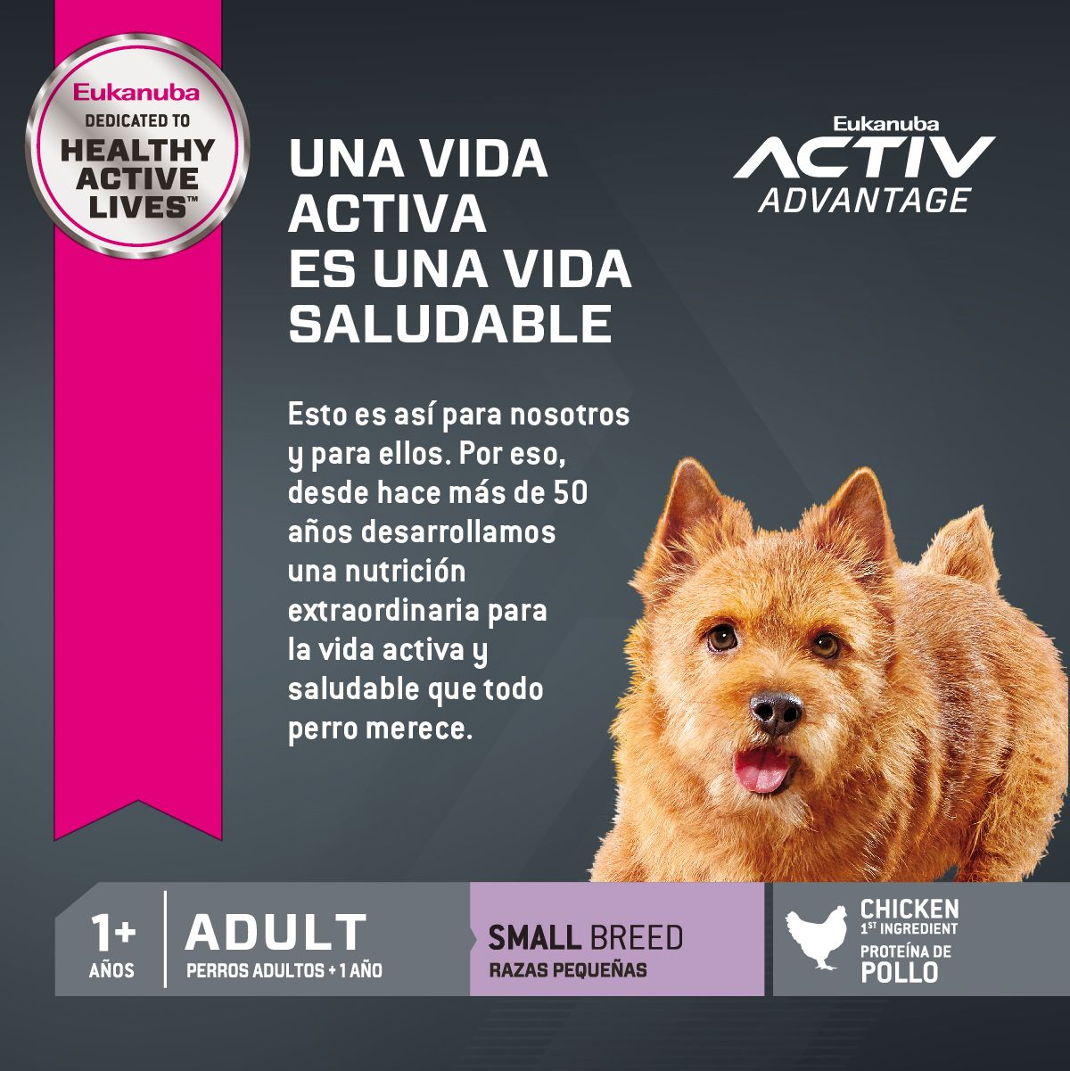 EUKANUBA ADULT SMALL BREED