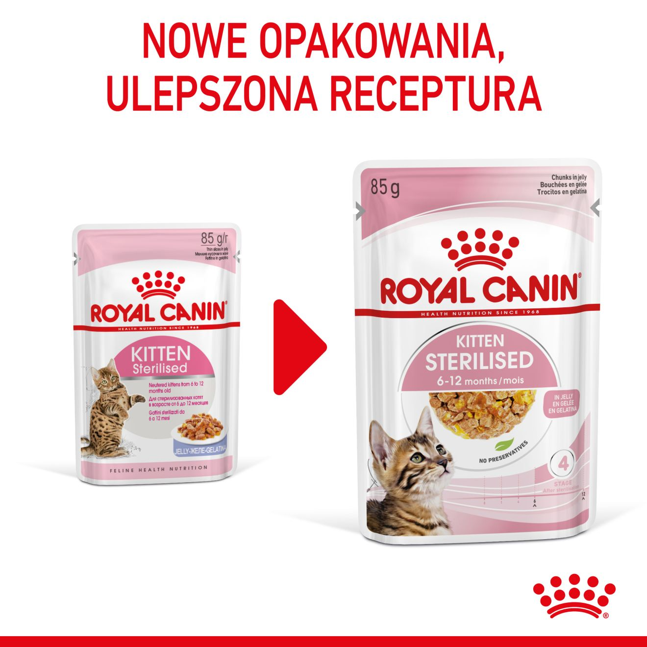 ROYAL CANIN Kitten Sterilised  karma mokra w galaretce dla kociąt do 12 miesiąca życia, sterylizowanych