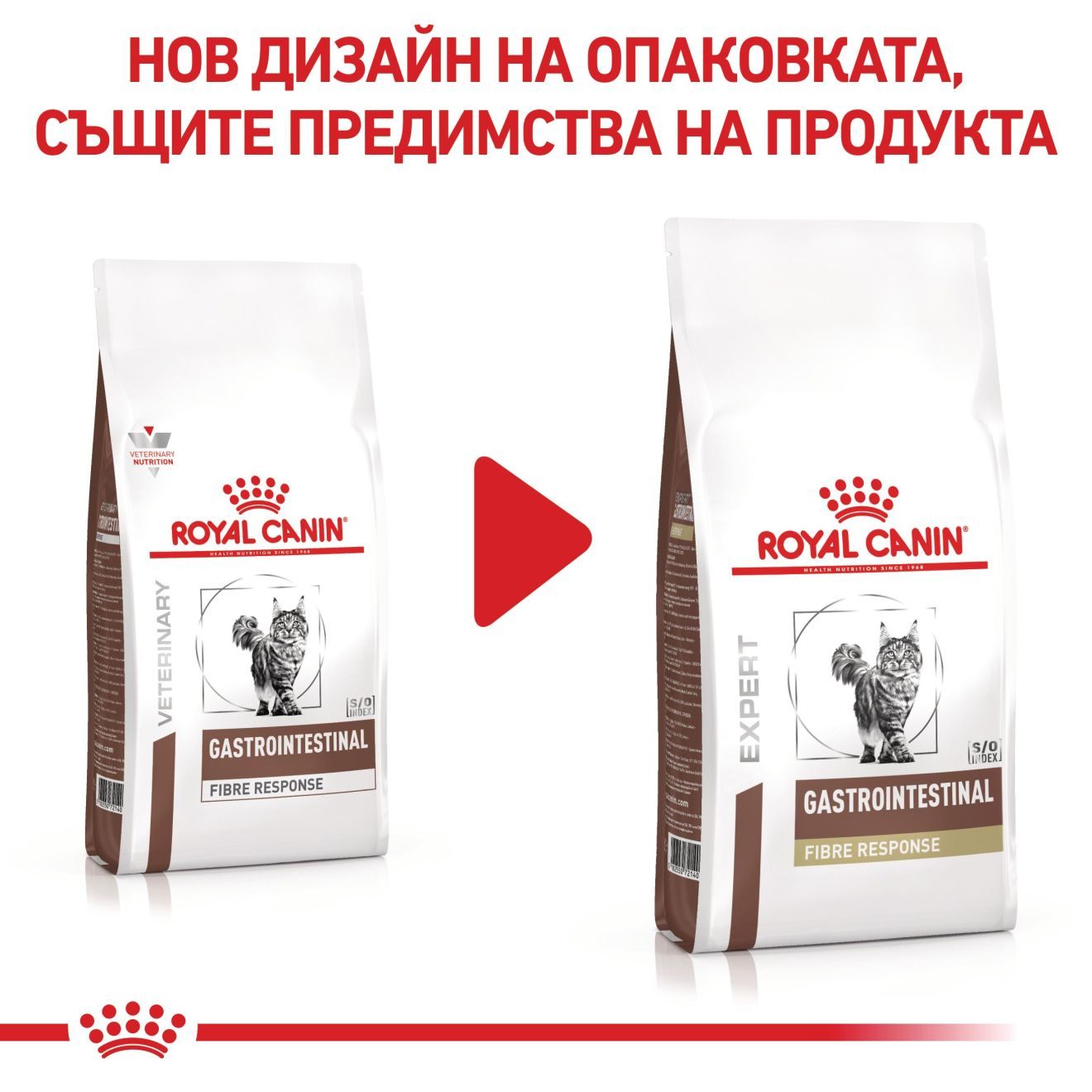 GASTROINTESTINAL FIBRE RESPONSE