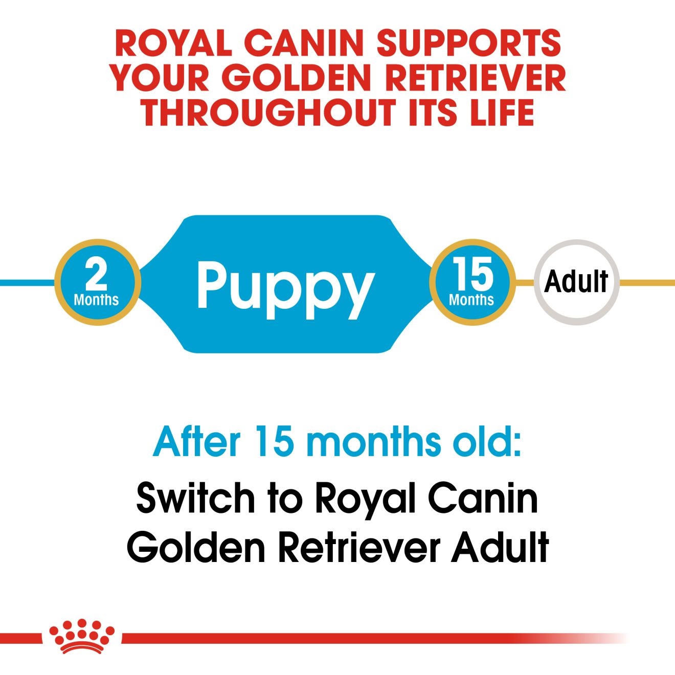 royal canin golden retriever junior 3kg