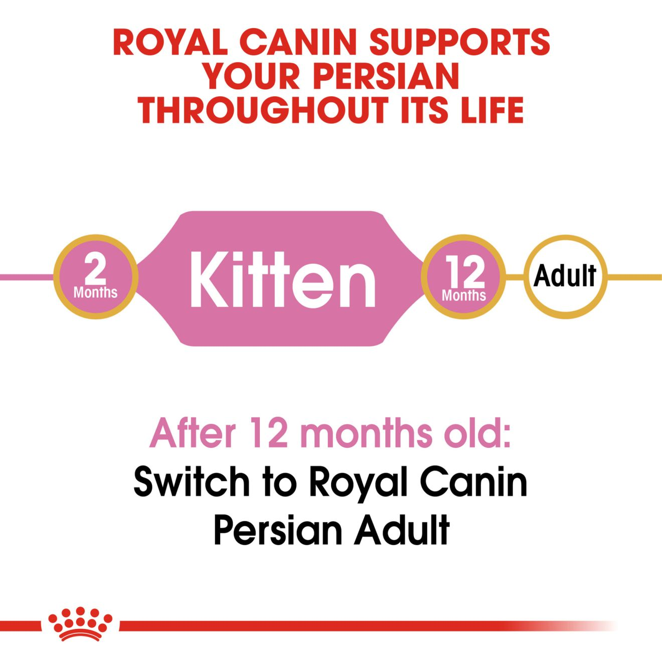 Persian Kitten Dry Cat Food