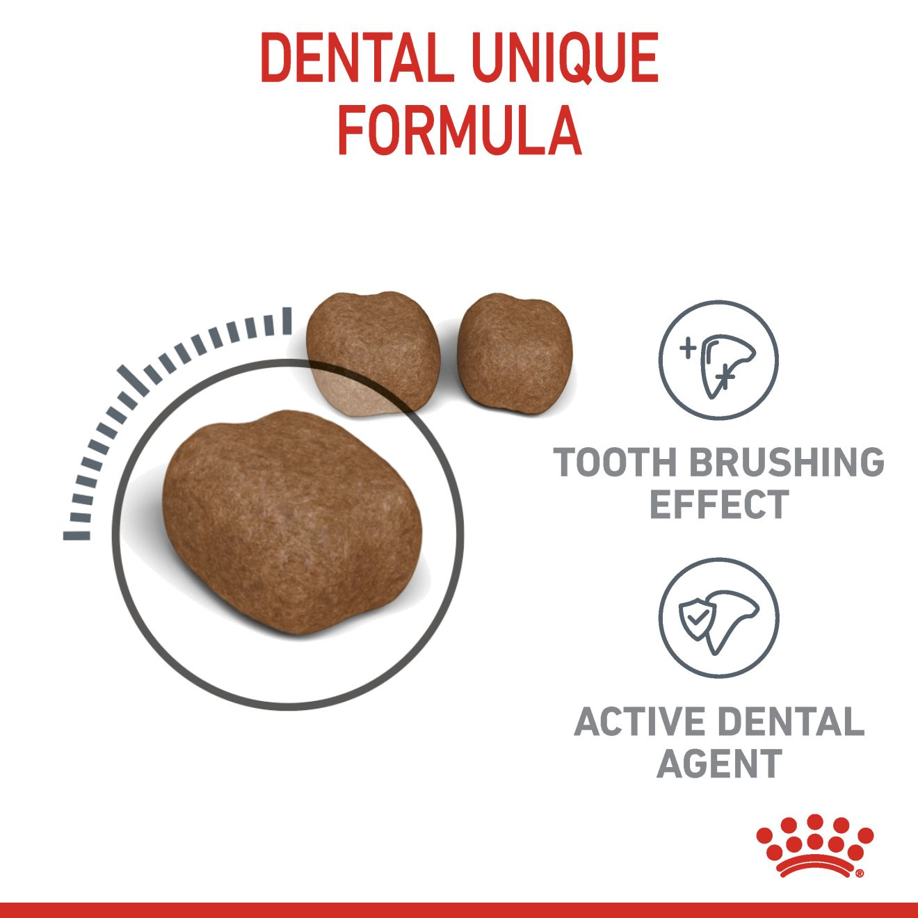 Dental Care Dry Cat Food Royal Canin US