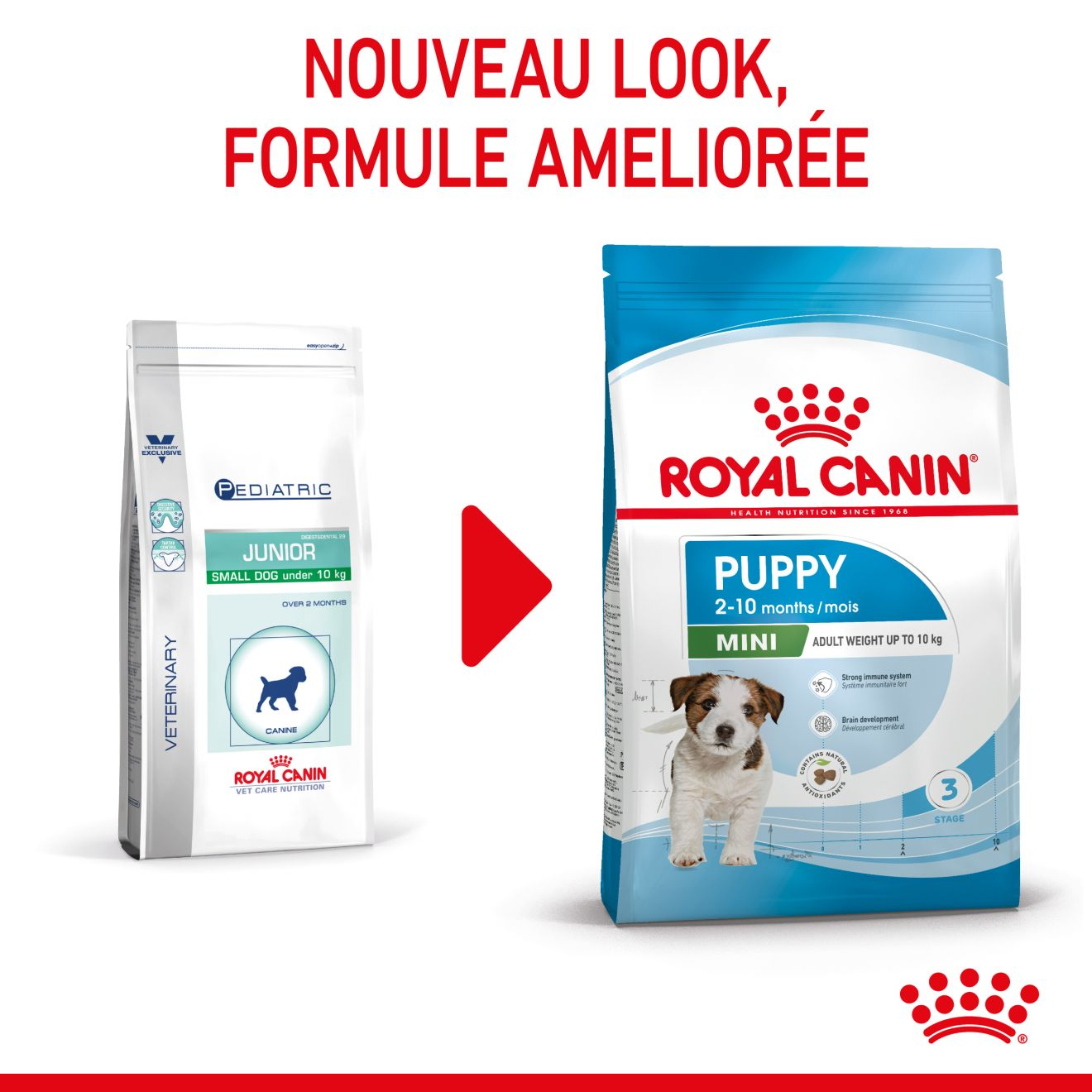 Royal canin best sale chiot puppy