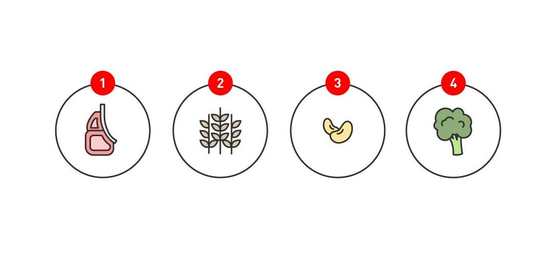 5 illustrations showing the sources of proteins