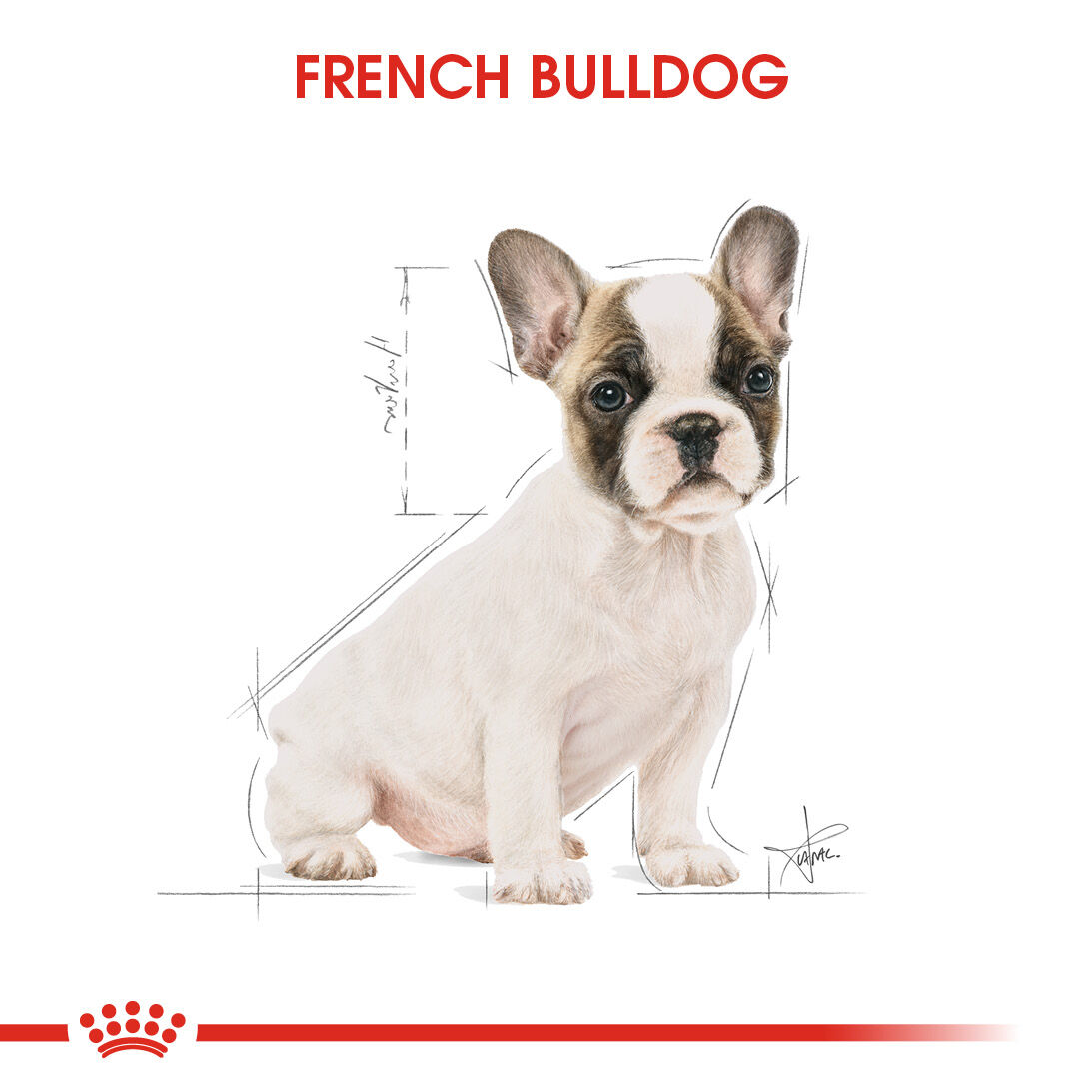 Petco royal outlet canin french bulldog