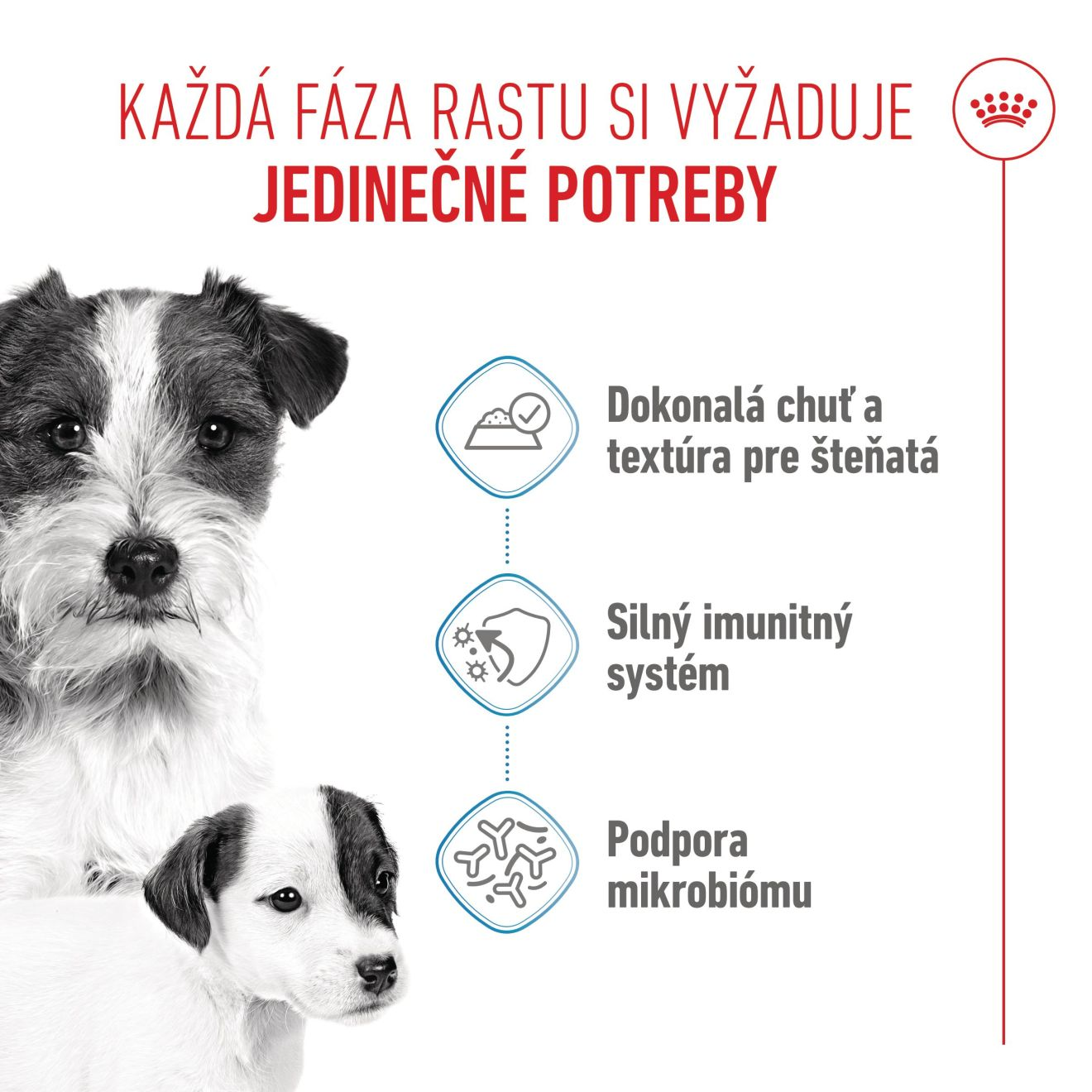 STARTER Mother & Babydog – Ultra soft mousse