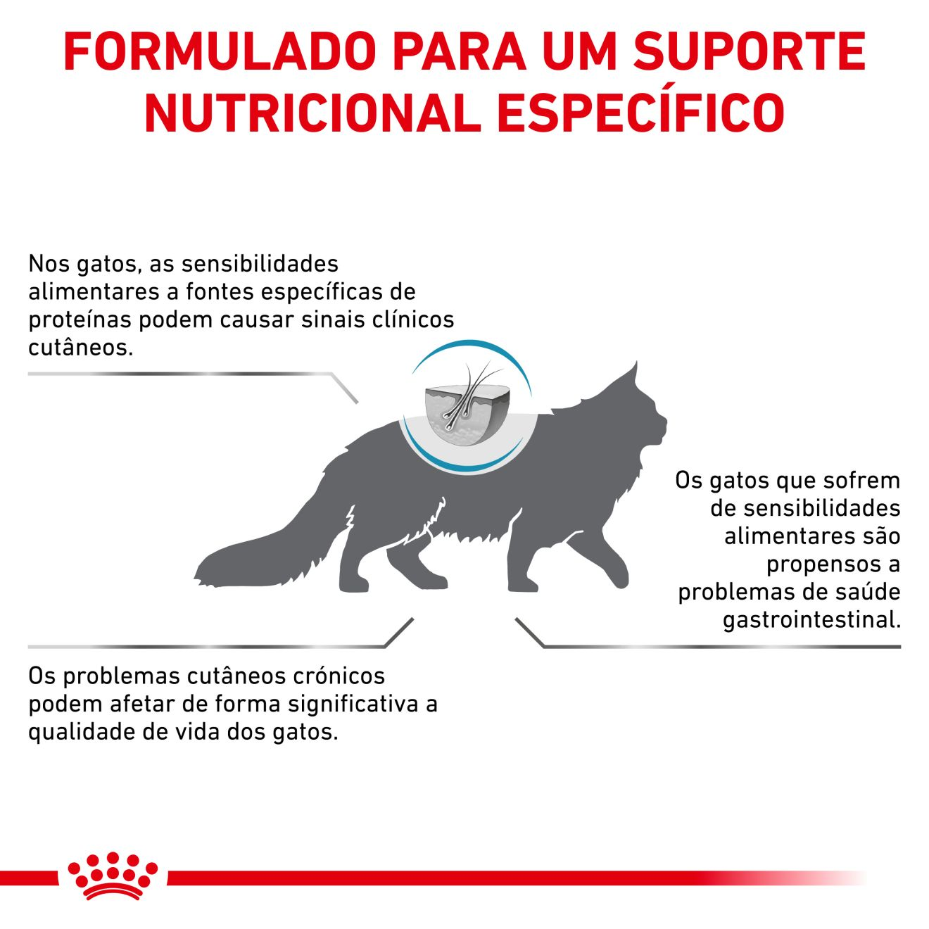 Cat ANALLERGENIC