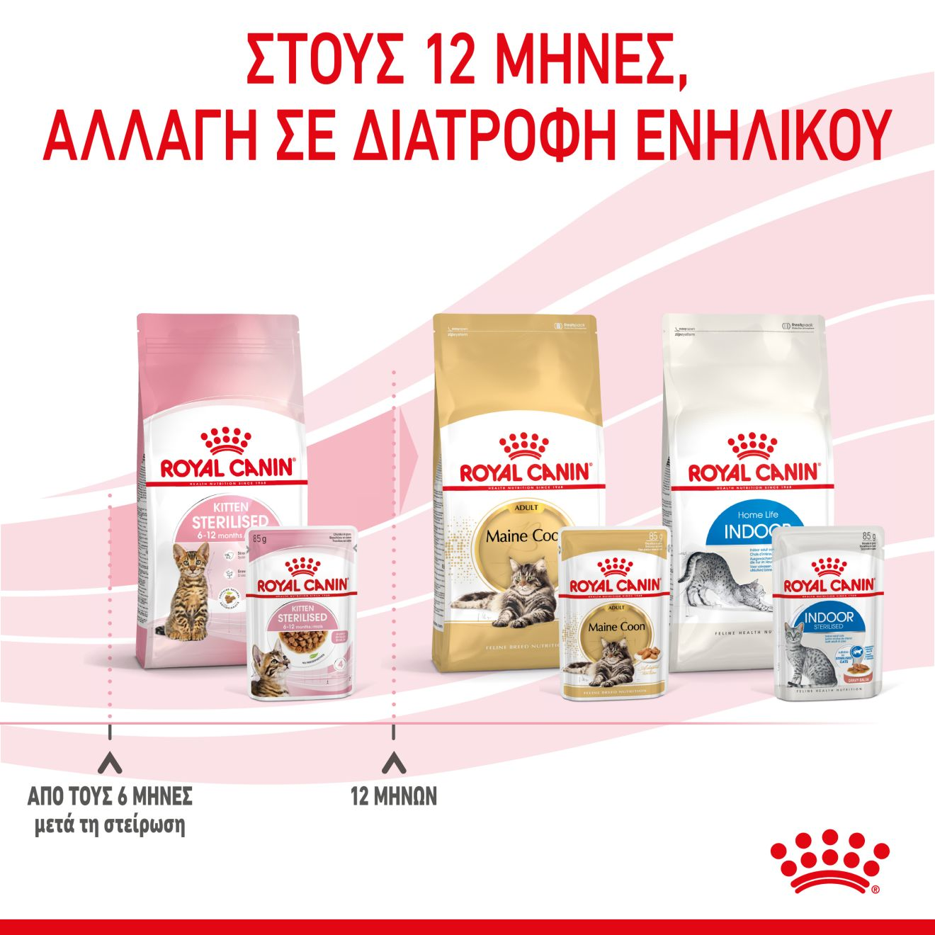 KITTEN STERILISED Κομματάκια σε σάλτσα 