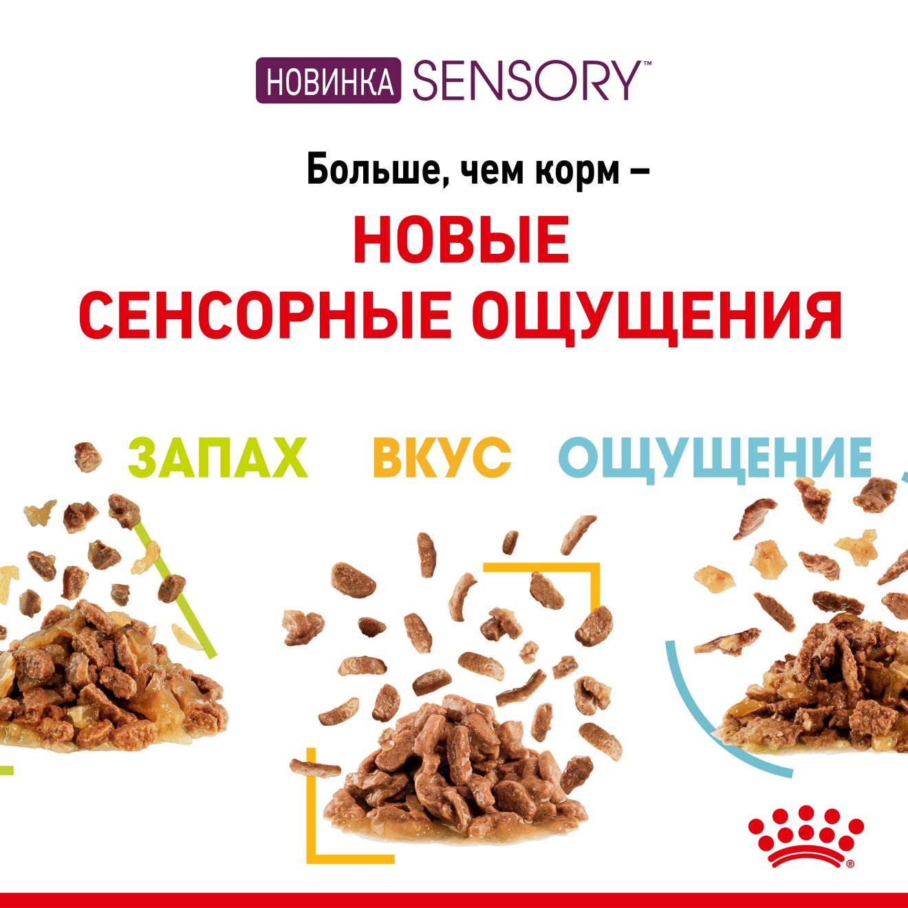 Sensory™ Taste Chunks in gravy
